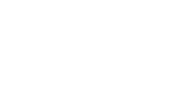 Diamond Academy